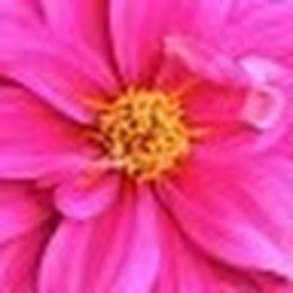 Meet your Posher, Mary - Picture 1 of 1